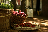 large baskets of various fruits