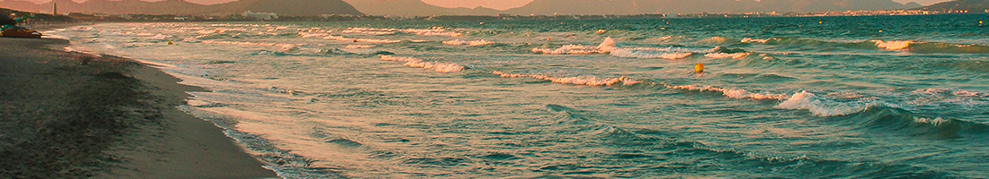 beach with waves